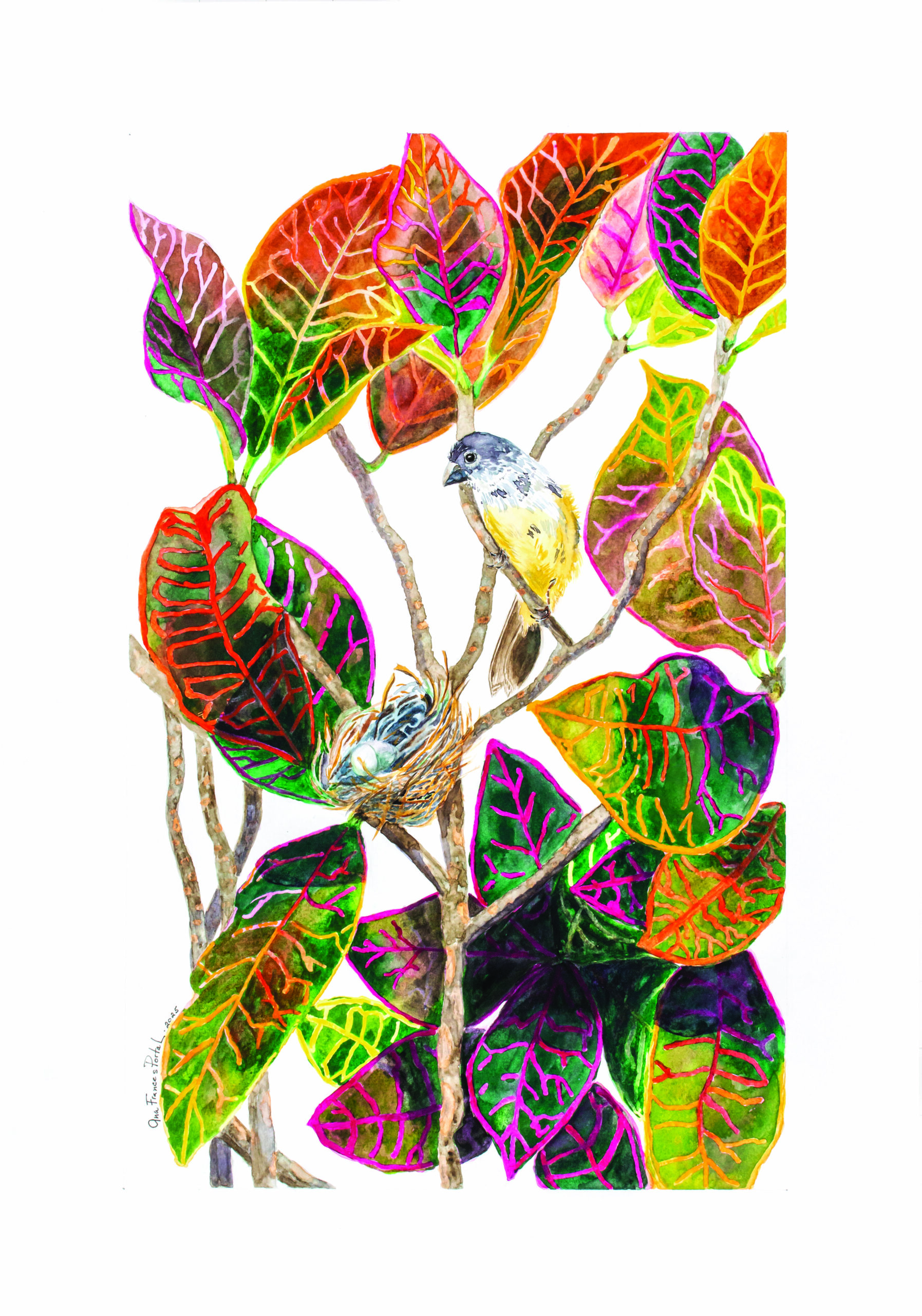 Entre colores