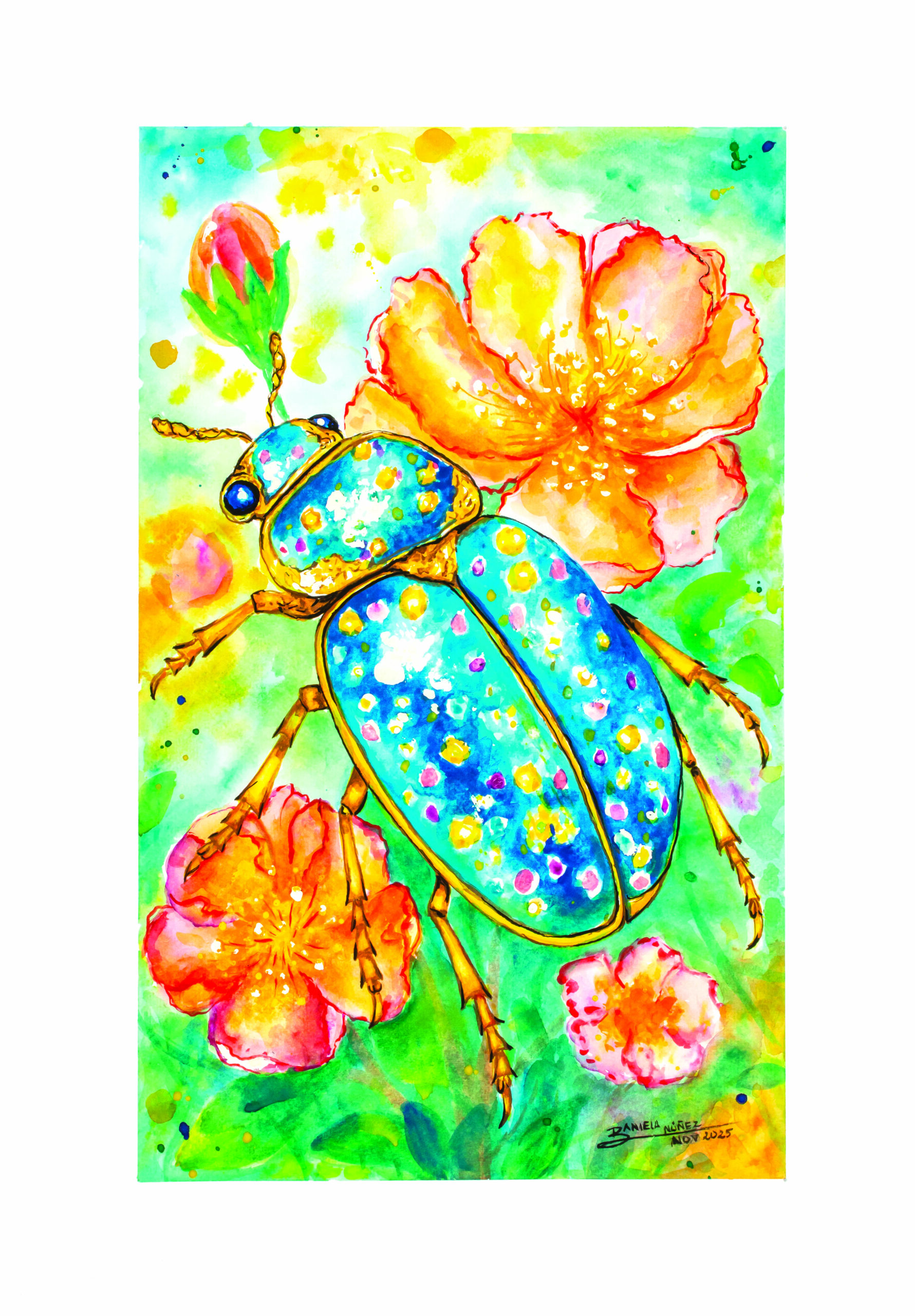 Tzapúlin Xalcuat (escarabajo del cielo pintado) nahuat